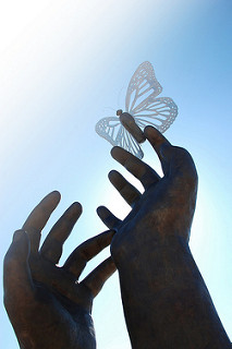 Hand reaching up for a butterfly 